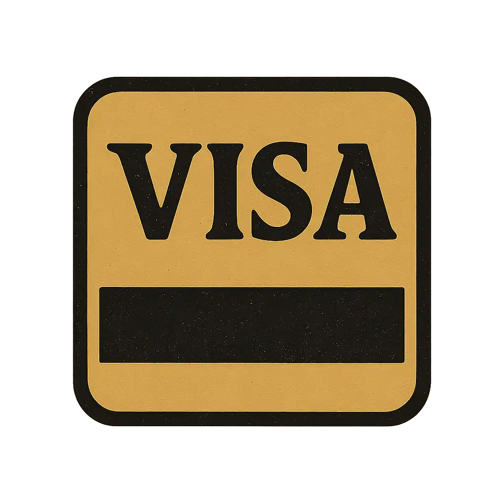 Visa icon
